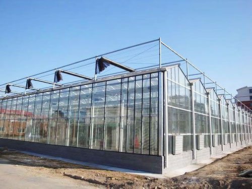 玻璃溫室大棚4